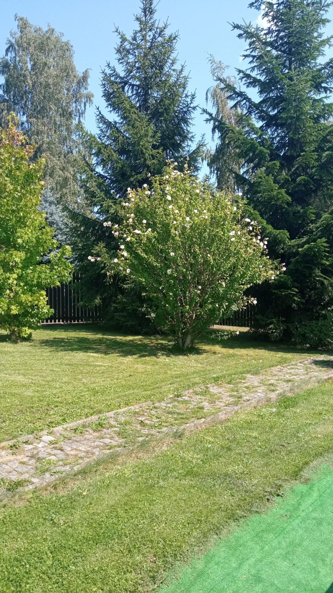 Chata Lazne Evzenie Klášterec nad Ohří エクステリア 写真